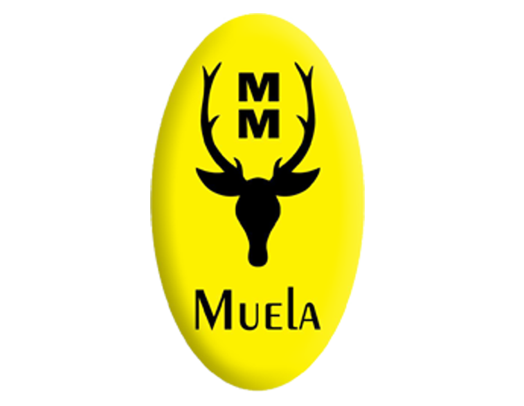 Muela